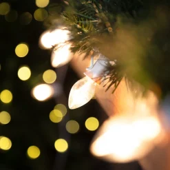 25 Count Clear C7 Christmas Lights, 24ft White Wire
