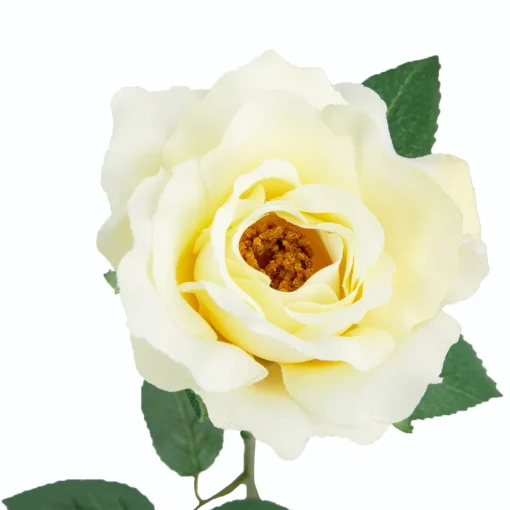 22" Long Stem Blooming Vanilla Rose Artificial Floral Silk Pick