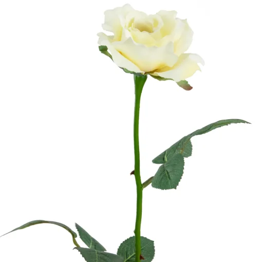 22" Long Stem Blooming Vanilla Rose Artificial Floral Silk Pick