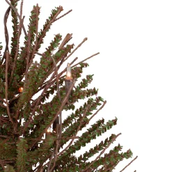 2' Pre-Lit Medium Potted Warsaw Twig Artificial Christmas Tree - Clear Lights