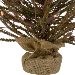 2' Pre-Lit Medium Potted Warsaw Twig Artificial Christmas Tree - Clear Lights