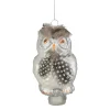 5" Silver and Brown Glass Snow Owl Christmas Ornament