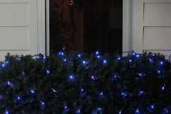 4' x 6' Blue LED Wide Angle Christmas Net Lights, Green Wire