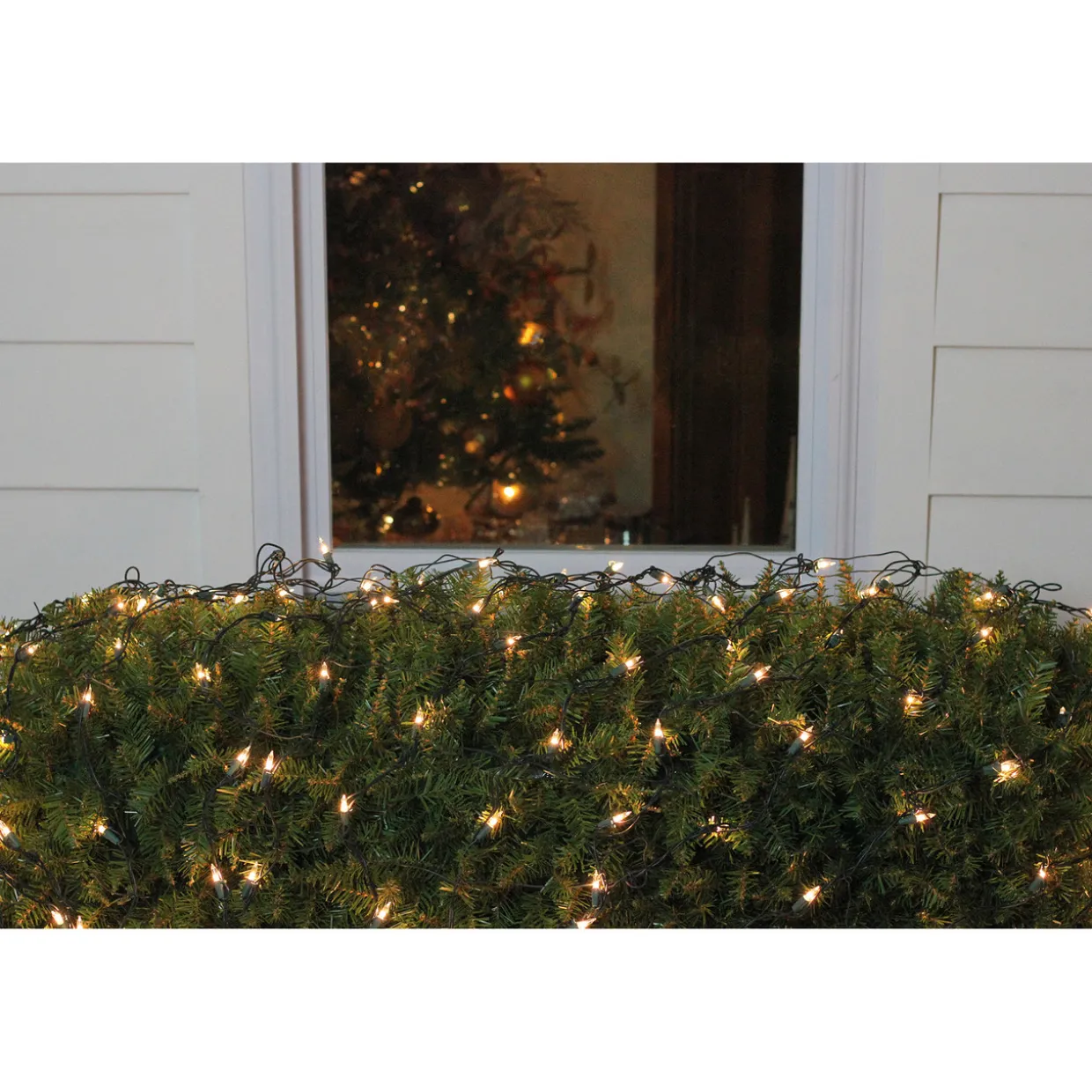 4' x 6' Clear Mini Net Style Christmas Lights, Green Wire
