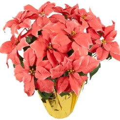 Artificial Christmas Poinsettia with Wrapped Base - 20
