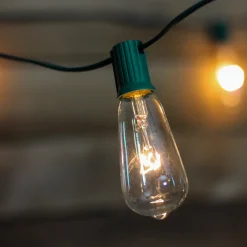 10-Count Clear Edison Glass Patio Lights, 9ft Green Wire