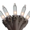 300-Count Clear Mini Christmas Lights Set - 61' Brown Wire