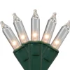 300-Count Clear Mini Christmas Lights - 60' Green Wire