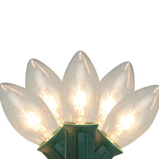 25-Count Clear Transparent C9 Christmas String Light Set, 24ft Green Wire