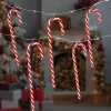 10-Count LED Micro Fairy Christmas Lights with Candy Canes