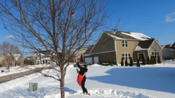 ELF | Easy Light Feeder