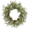 Frosted Pine and Pinecone Christmas Wreath, 30-Inch, Unlit