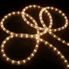 100ft Clear Incandescent Outdoor Christmas Rope Lights
