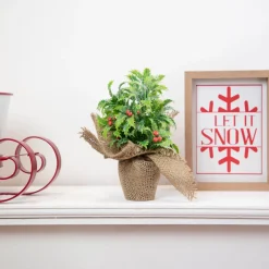 Iced Artificial Christmas Holly Berry Plant in Burlap Base - 8"