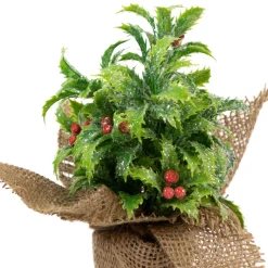 Iced Artificial Christmas Holly Berry Plant in Burlap Base - 8