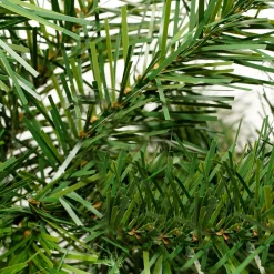 Kingston Cashmere Mixed Pine Artificial Commercial Christmas Garland - 50' x 14" - Unlit