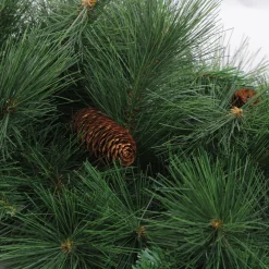 Mixed White Valley Pine Artificial Christmas Wreath - 36" - Unlit