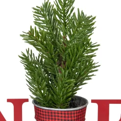 Potted Faux Pine in Metal 