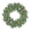 Pre-Lit Snow Mountain Pine Artificial Christmas Wreath - 24" - Clear Lights