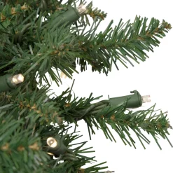 Pre-Lit Winona Fir Artificial Christmas Wreath, 24-Inch, Warm White LED Lights