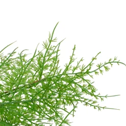 Real Touch™? Artificial Cedar Christmas Wreath - 24