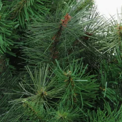 Real Touch™? Canyon Mixed Pine Artificial Christmas Wreath - 48" - Unlit