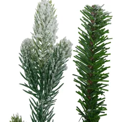 Real Touch™? Flocked Snowcap Grove Fir Artificial Christmas Wreath - 24