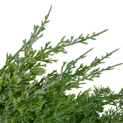 Real Touch™? Frosted Cedar and Pinecone Artificial Christmas Wreath - 26