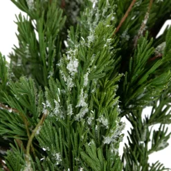 Real Touch™? Iced Cedar Artificial Christmas Wreath - 24