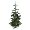 Real Touch™ Layered Nordmann Fir Artificial Christmas Tree - 7.5' - Unlit
