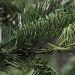 Real Touch™ Layered Nordmann Fir Artificial Christmas Tree - 7.5' - Unlit