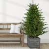 Real Touch™? Pre-Lit Potted Deluxe Russian Pine Artificial Christmas Tree - 6' - Warm White LED Lights