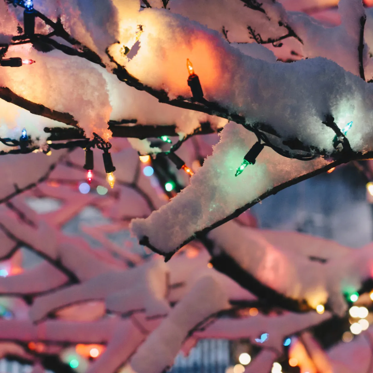 Set of 300 Multi-Color Mini Christmas Light Set, 61 ft Green Wire