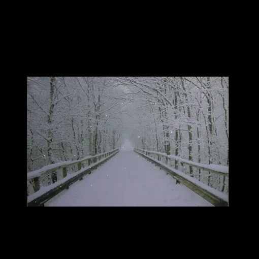 Small Fiber Optic Lighted Winter Wooden Bridge Canvas Wall Art 12" x 15.75"